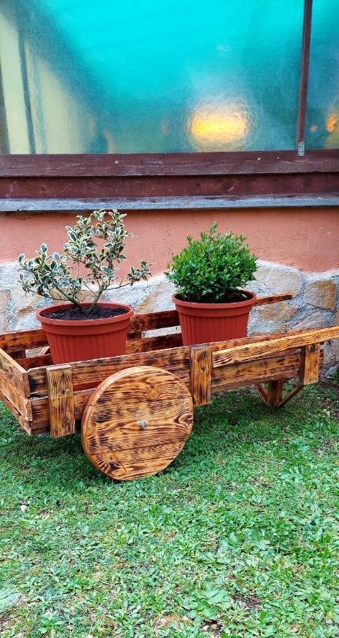 Bed And Breakfast Monticelli Capranica 외부 사진