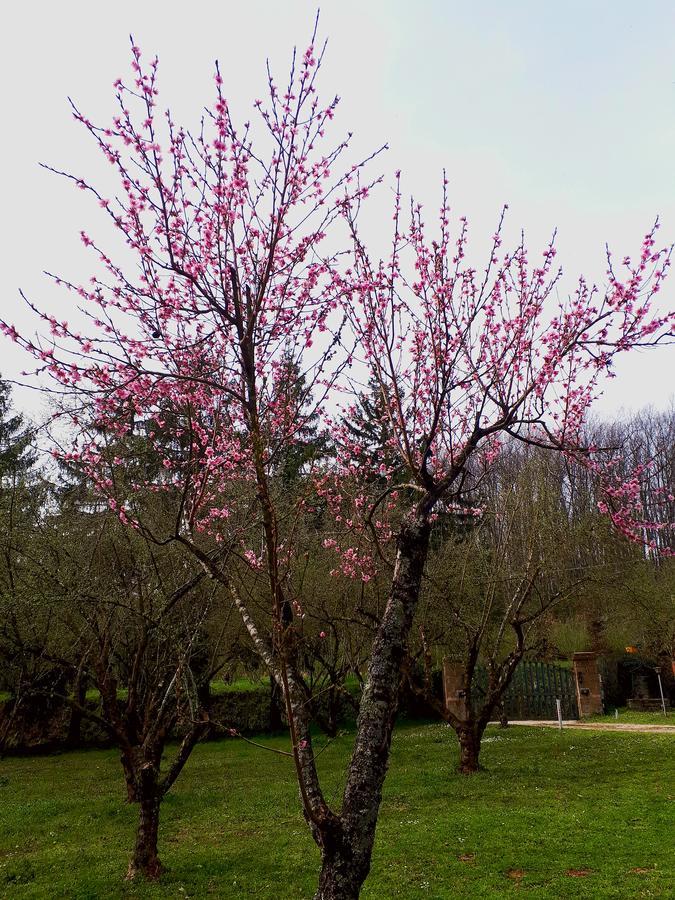 Bed And Breakfast Monticelli Capranica 외부 사진